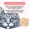 Wanpy Cat влажный корм для кошек из курицы и креветок (пауч) #2